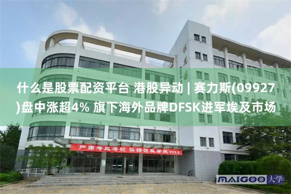 什么是股票配资平台 港股异动 | 赛力斯(09927)盘中涨超4% 旗下海外品牌DFSK进军埃及市场