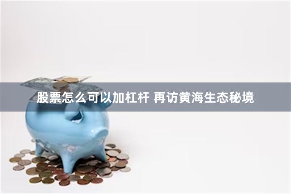 股票怎么可以加杠杆 再访黄海生态秘境