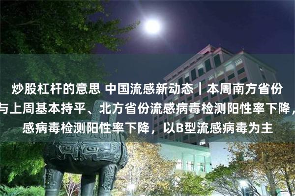 炒股杠杆的意思 中国流感新动态｜本周南方省份流感病毒检测阳性率与上周基本持平、北方省份流感病毒检测阳性率下降，以B型流感病毒为主