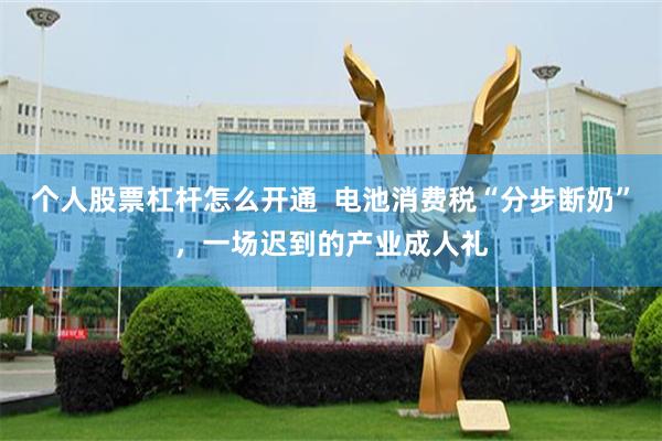 个人股票杠杆怎么开通  电池消费税“分步断奶”，一场迟到的产业成人礼