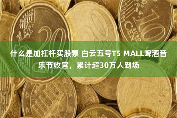 什么是加杠杆买股票 白云五号T5 MALL啤酒音乐节收官，累计超30万人到场