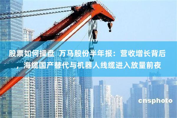 股票如何操盘  万马股份半年报：营收增长背后 ，海缆国产替代与机器人线缆进入放量前夜