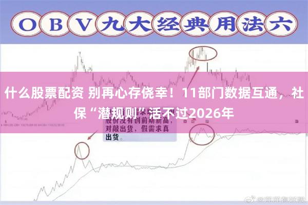 什么股票配资 别再心存侥幸！11部门数据互通，社保“潜规则”活不过2026年