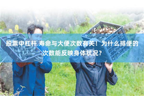 股票中杠杆 寿命与大便次数有关！为什么排便的次数能反映身体状况？